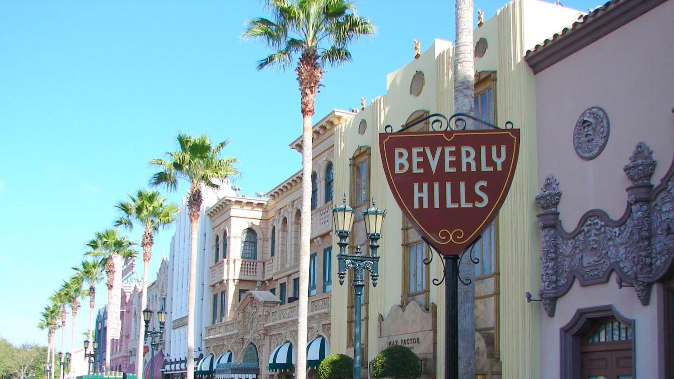 Welche Sicherheitsmerkmale sind in Häusern in Beverly Hills am häufigsten zu finden?